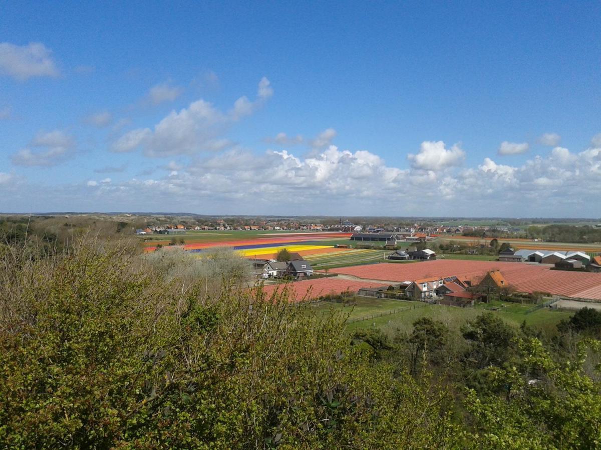 Joy Villa Egmond-Binnen Exteriör bild